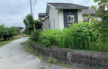 草刈り施工前