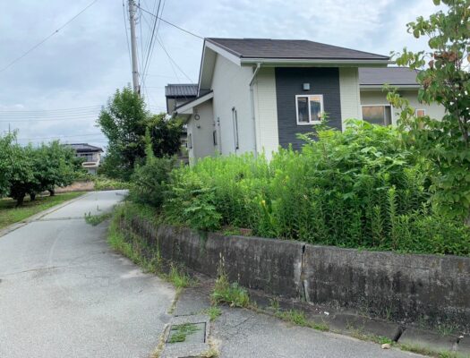 草刈り施工前